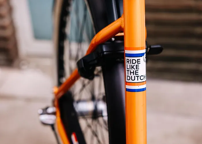 Huisdiervriendelijk hotel: Casa La Vida Beach House